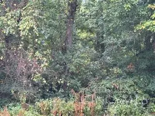 0 Bond Road, Miller, OH 45030 - Image #1