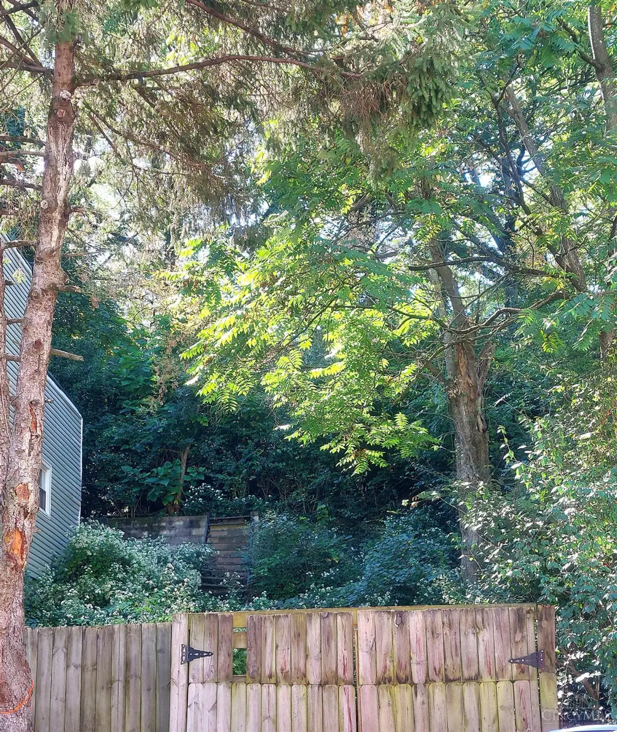 507 Tafel Street, Cincinnati, OH 45225 - Image #1