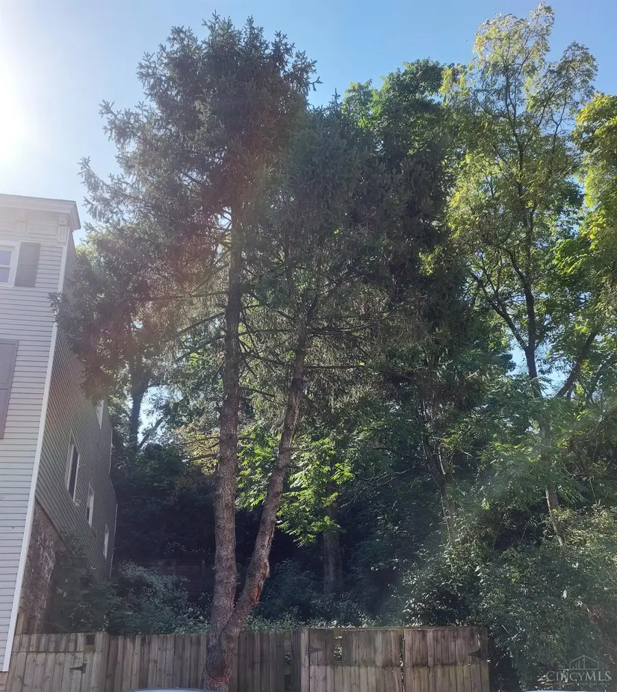 507 Tafel Street, Cincinnati, OH 45225 - Image #3