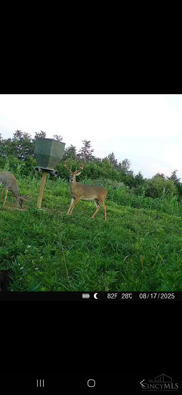 109 Fenton Road, Winchester, OH 45697 - Image #2