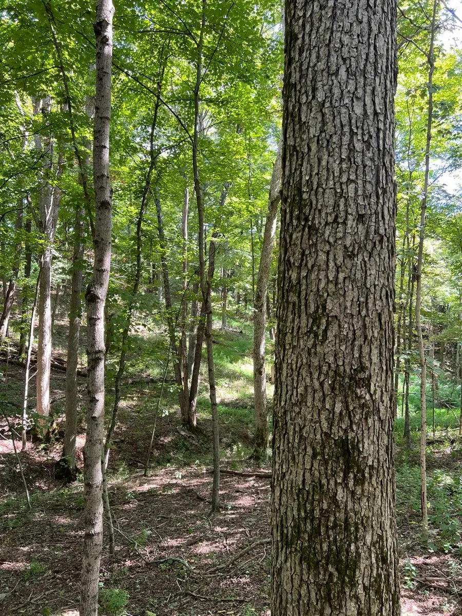 3635 Circle Drive, Union, OH 45167 - Image #2