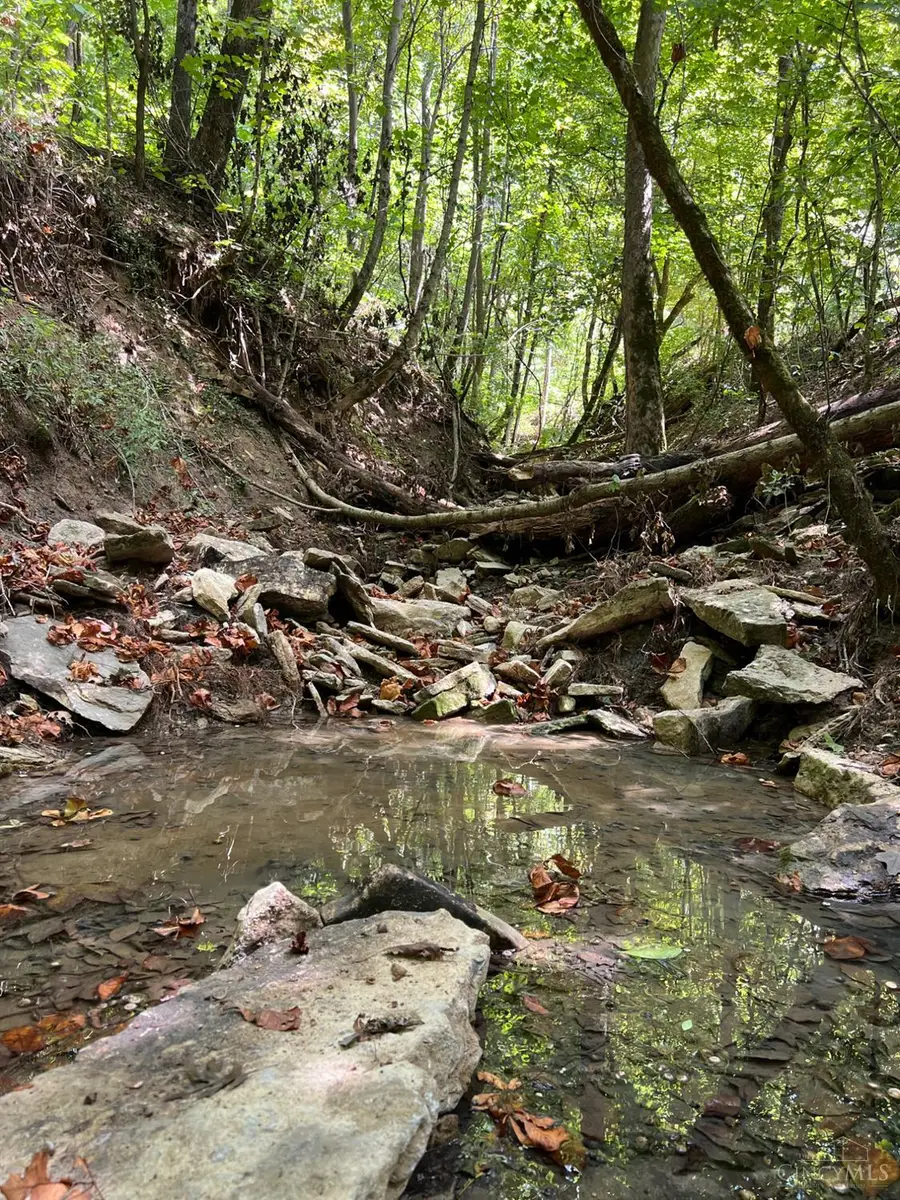 3635 Circle Drive, Union, OH 45167 - Image #3