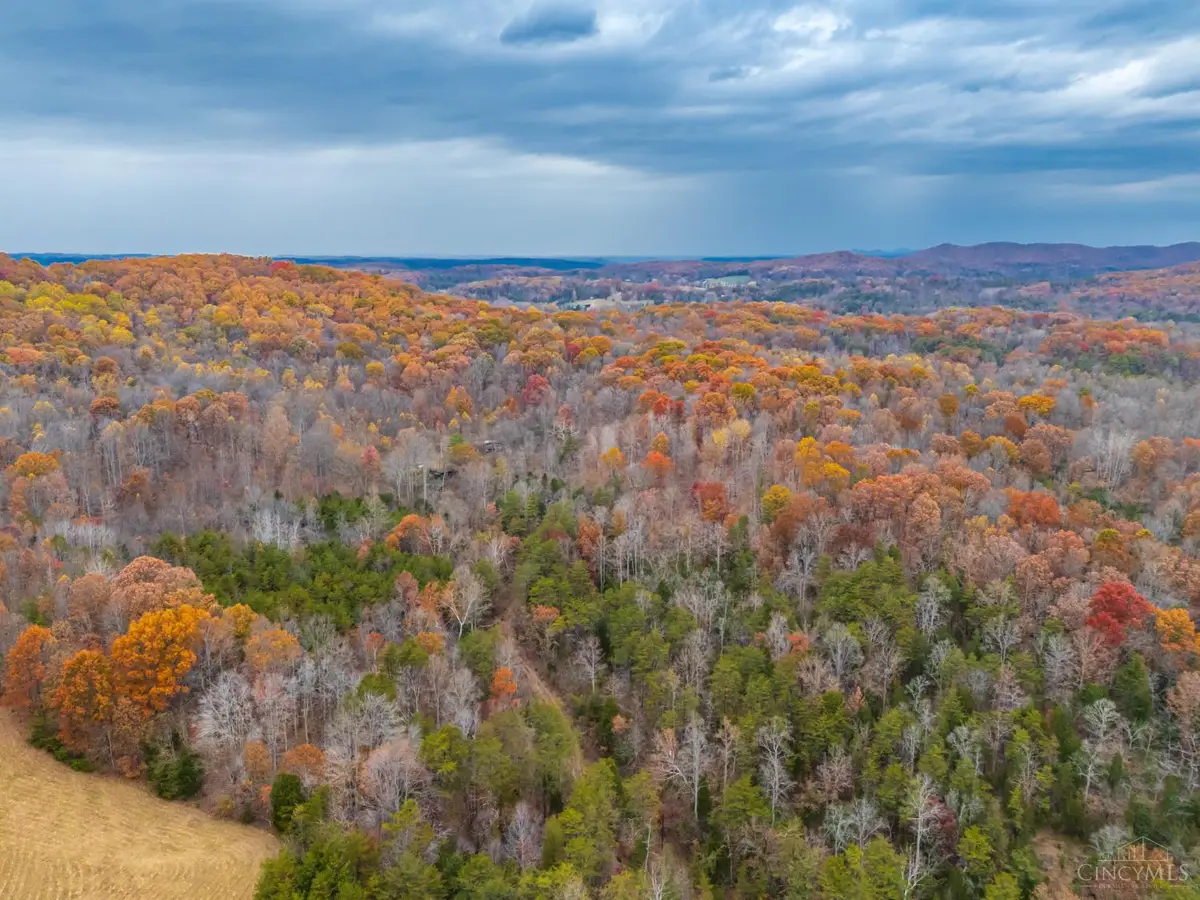 1186 Tulip Road, Lynx, OH 45650 - Image #1