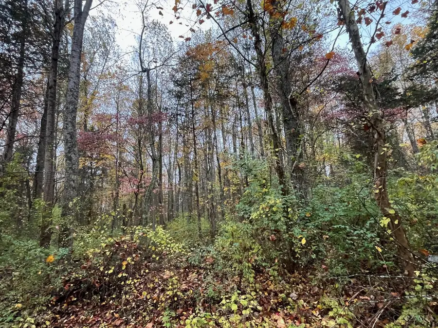 0 Franklin Meadows Lane, Monroe, OH 45157 - Image #2