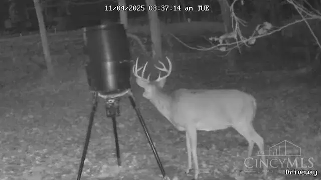 0 Valley Chapel Road, Jackson, OH 45640 - Image #2