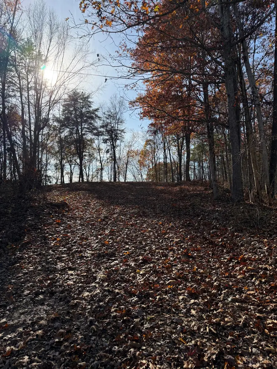 0 St Rt 775, Willow Wood, OH 45696 - Image #3