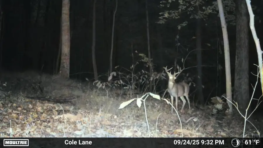 4655 Grassy Fork Road, Mifflin, OH 45660 - Image #2