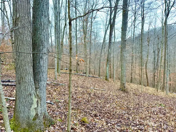 0 Golley, Otway, OH 45657