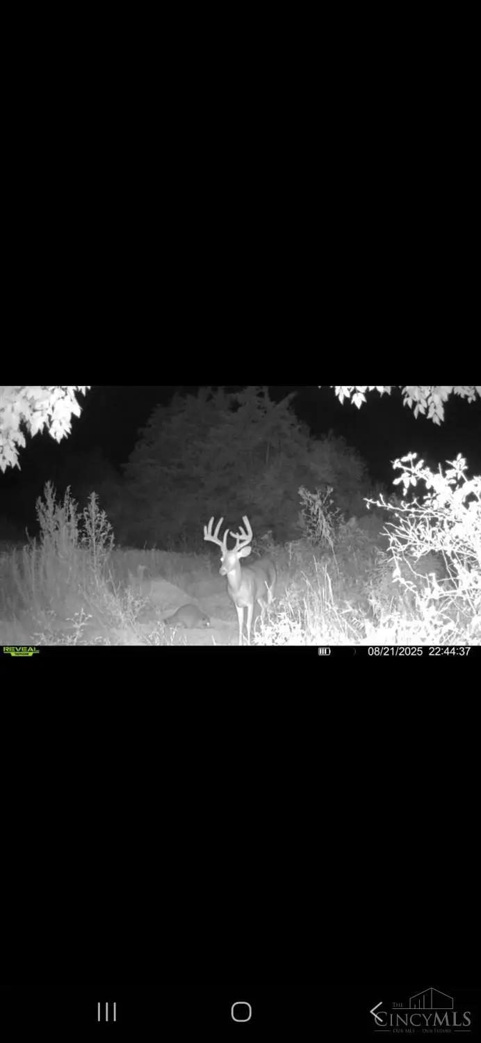 870 Fenton Road, Winchester, OH 45697 - Image #2