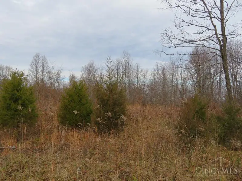 7730 Beavers Ridge Road, Piketon, OH 45661 - Image #2