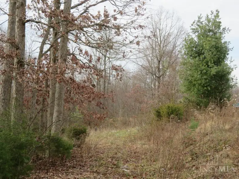 7730 Beavers Ridge Road, Piketon, OH 45661 - Image #3