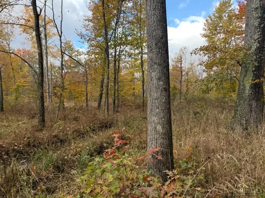 5880 Deerfield Road, Goshen Township, OH 45150 - Image #2