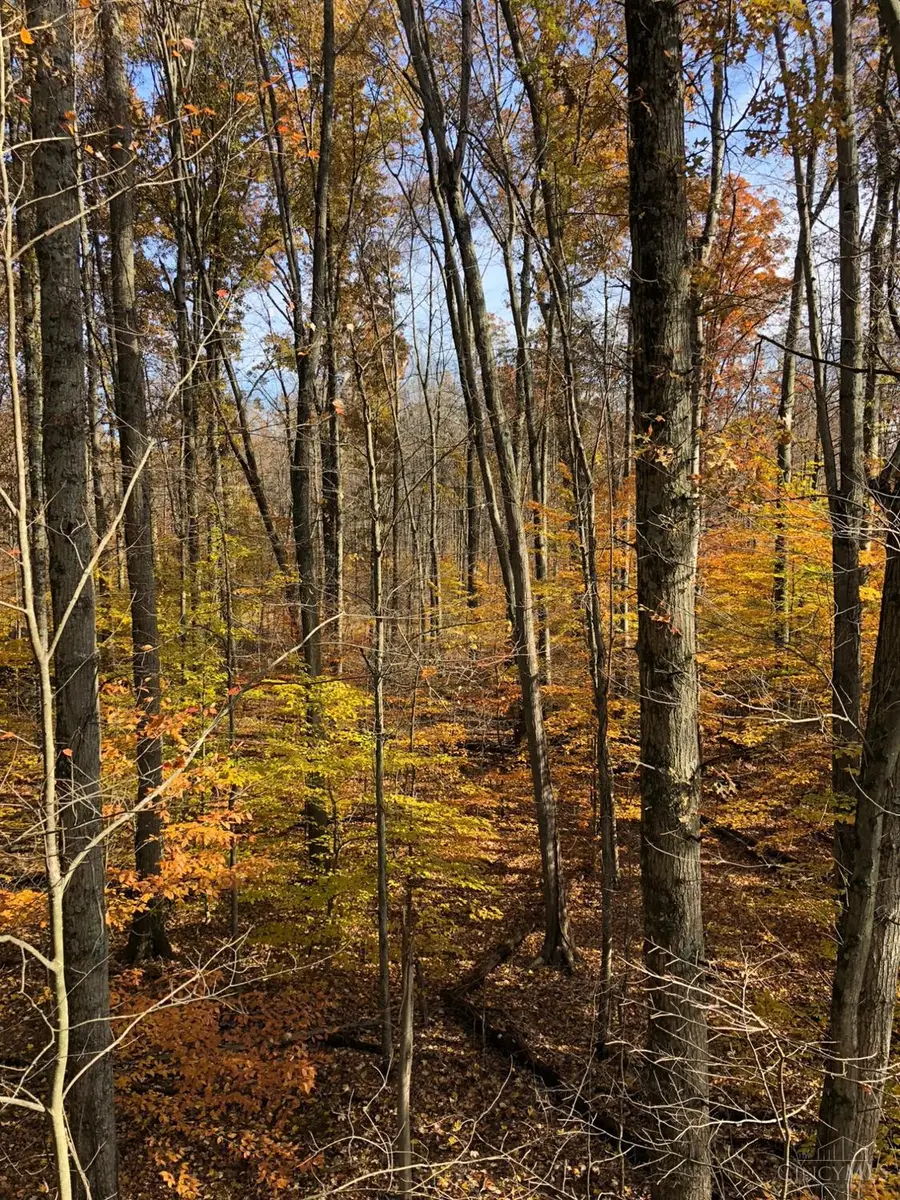 5880 Deerfield Road, Goshen Township, OH 45150 - Image #3