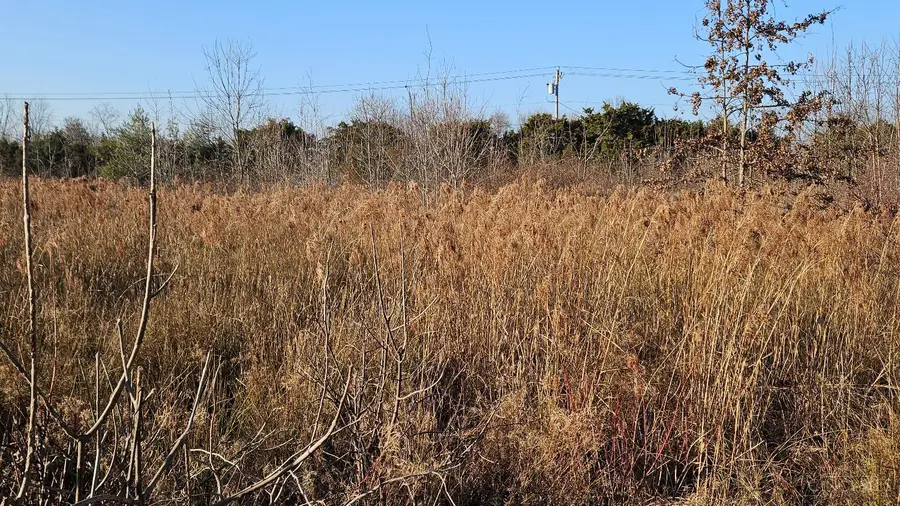 2259 Cedarville Road, Goshen Township, OH 45122 - Image #3