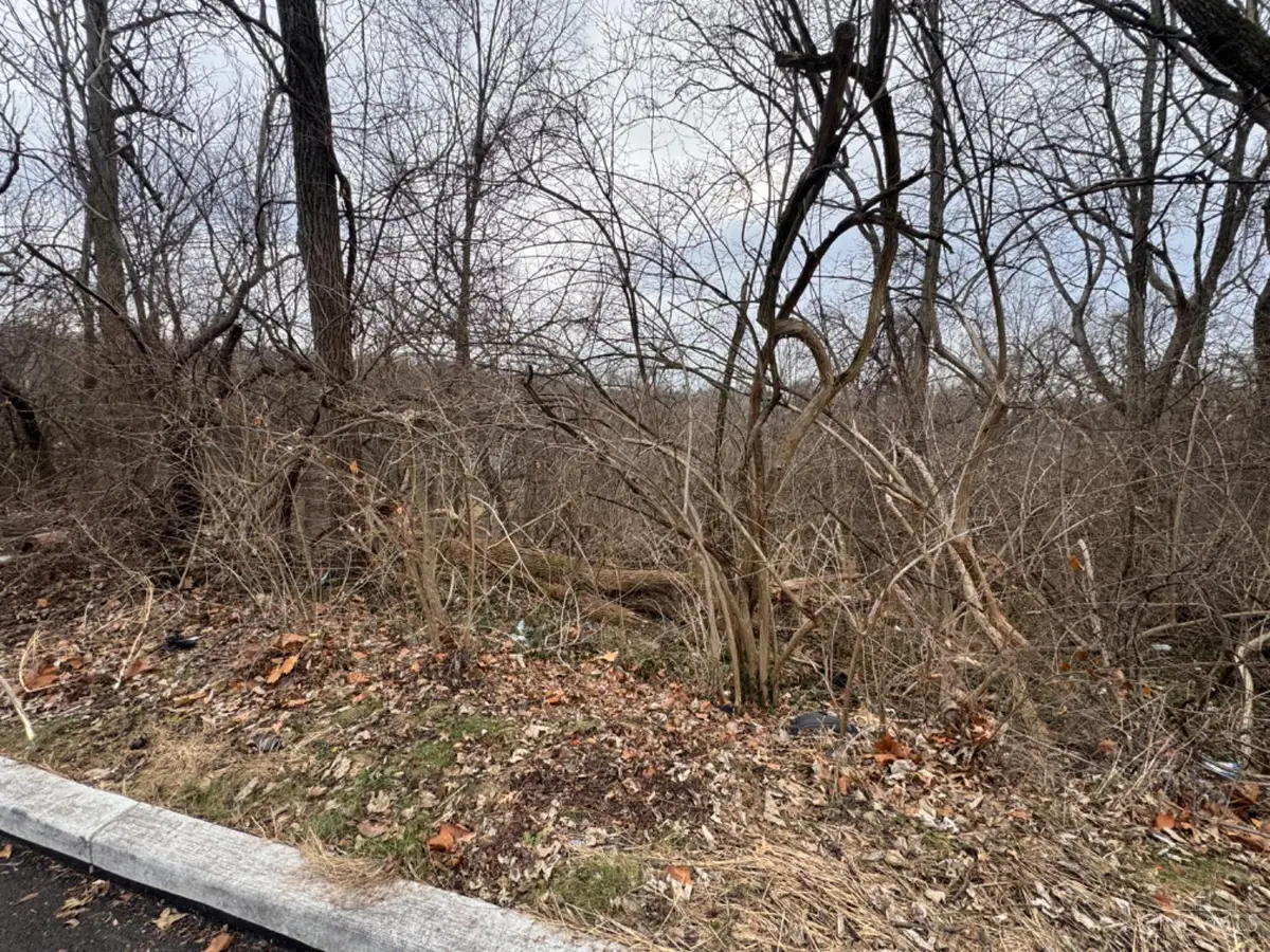 1039 Burton Avenue, Cincinnati, OH 45229 - Image #1