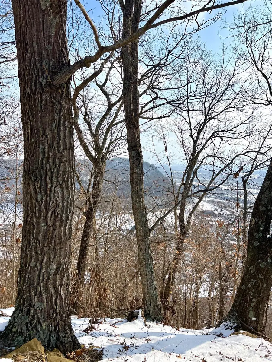 0 Glenwood Avenue, New Boston, OH 45662 - #2