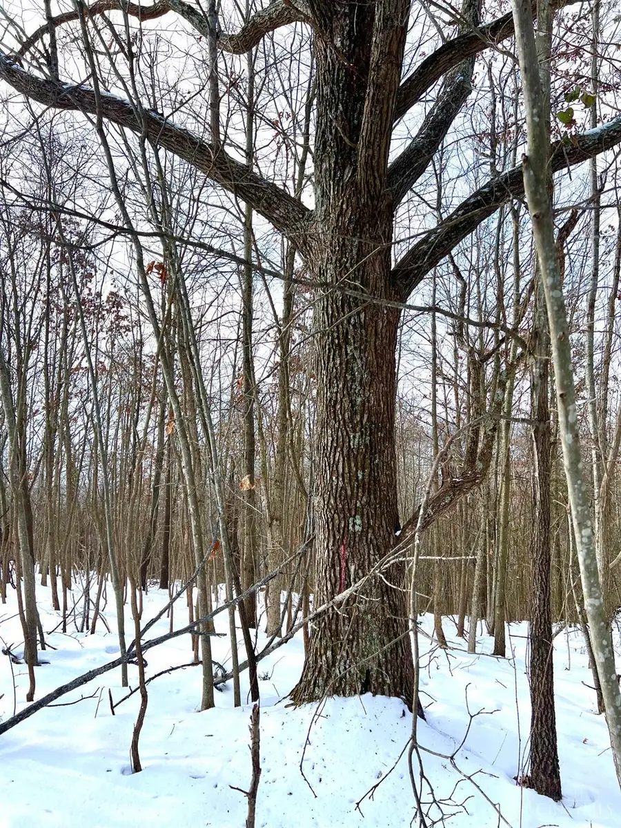 0 Glenwood Avenue, New Boston, OH 45662 - #3