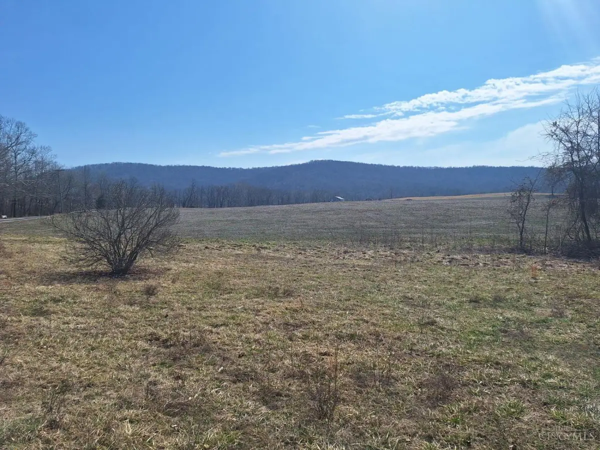 234 Dry Bone Drive, Mifflin, OH 45660 - #1