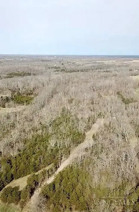 4051 St Rt 41, Manchester, OH 45144 - #2