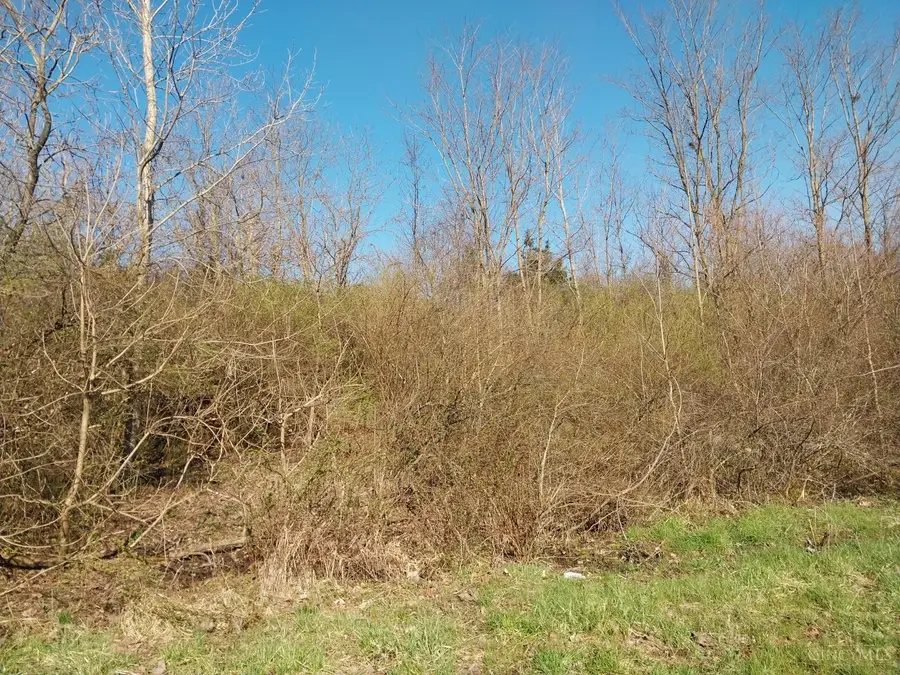 0 Briggs Road, Greenfield, OH 45123 - #3