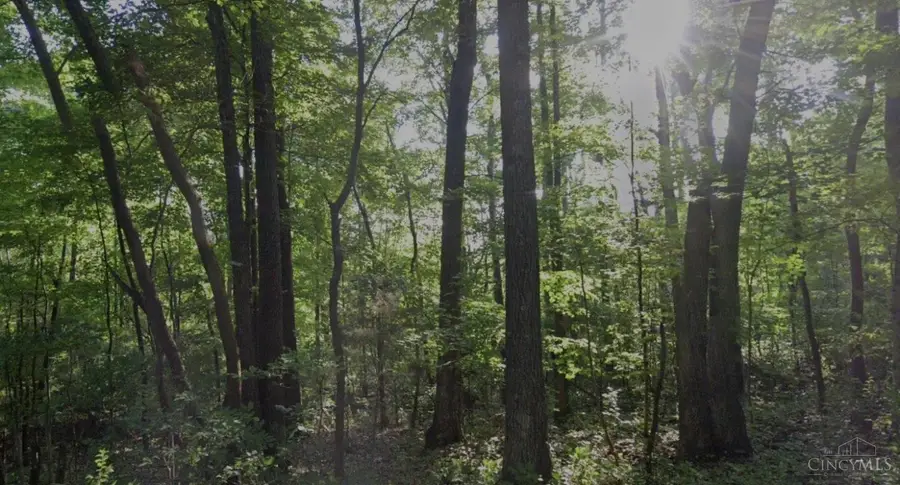 1148 Robinette Road, West Union, OH 45693 - #2