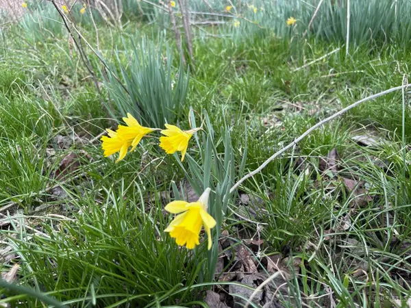 0 Township Rd 319, Willow Wood, OH 45696