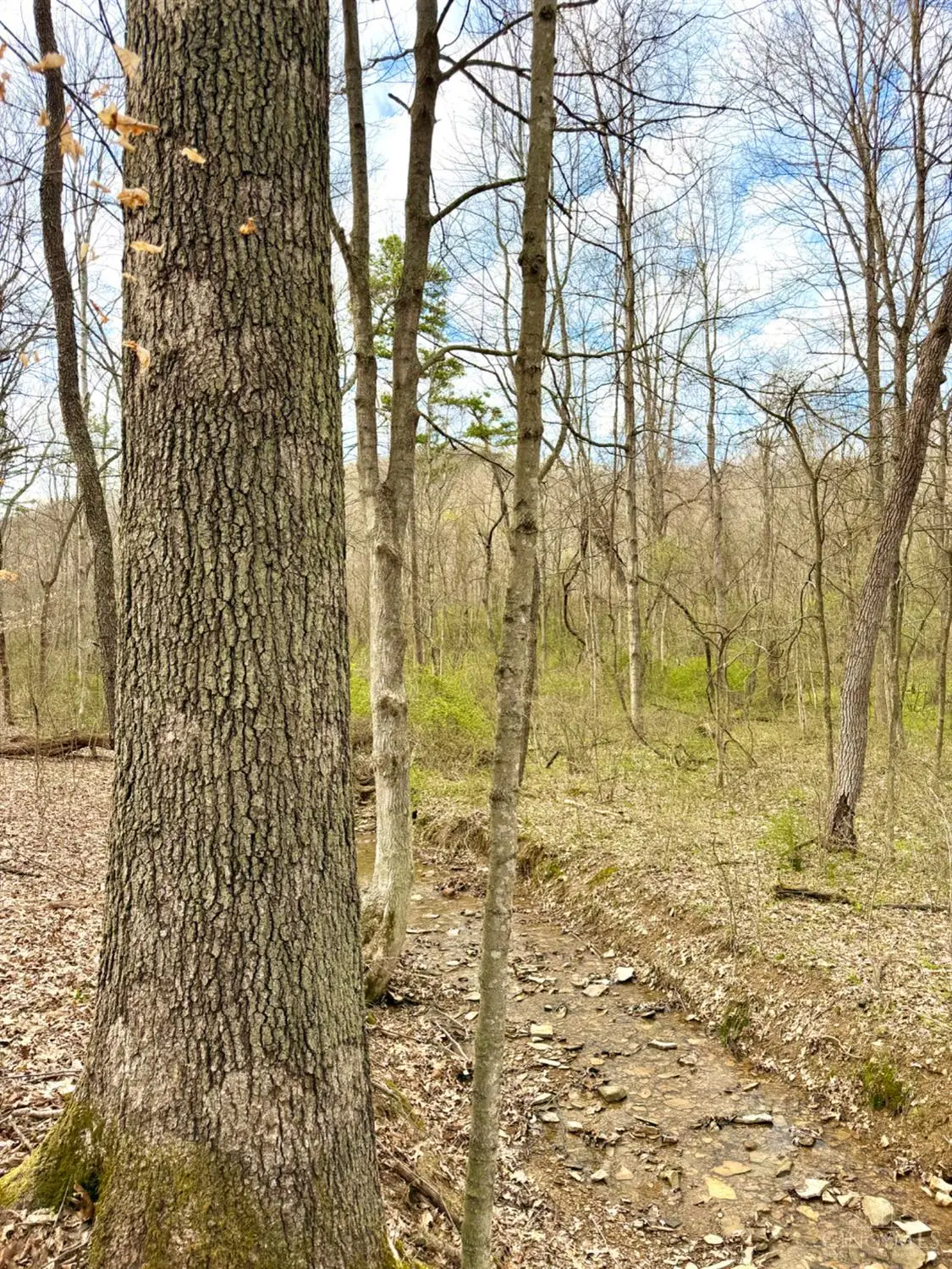 0 Fyffe Hollow, Franklin, OH 45601 - #1