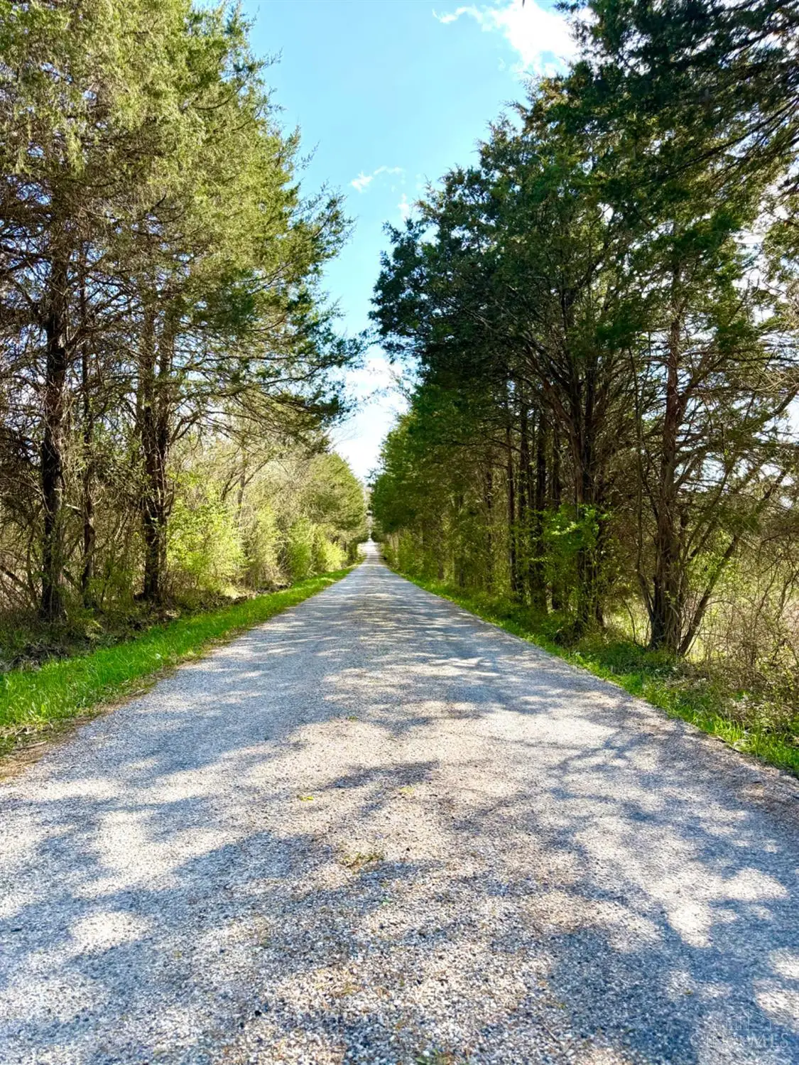 1600 Magee Jones Road, Bratton, OH 45660 - #1