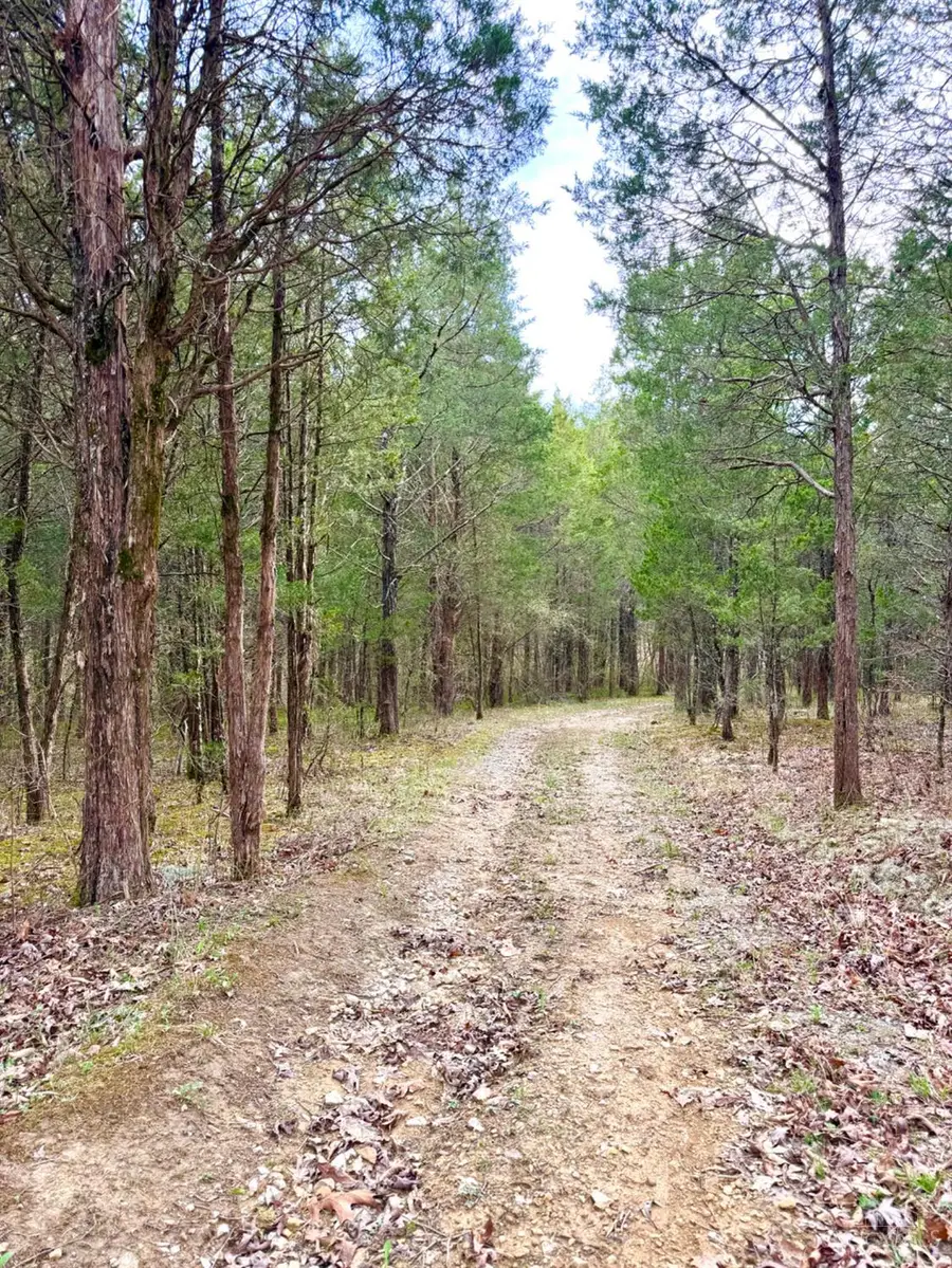 1600 Magee Jones Road, Bratton, OH 45660 - #2