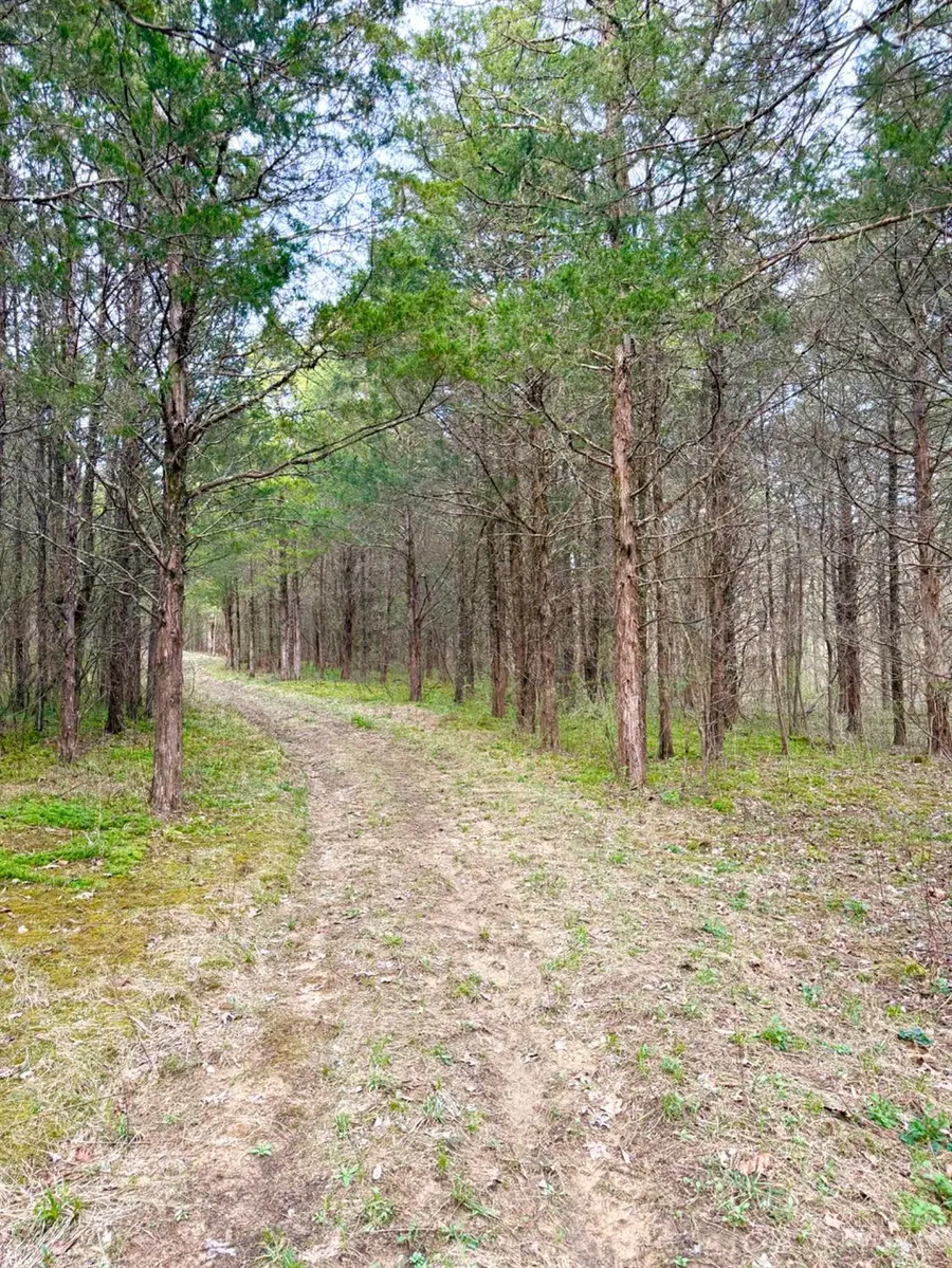 1600 Magee Jones Road, Bratton, OH 45660 - #3