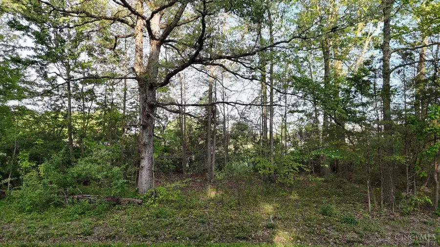 2941 Yuma Drive, Sardinia, OH 45171 - #3