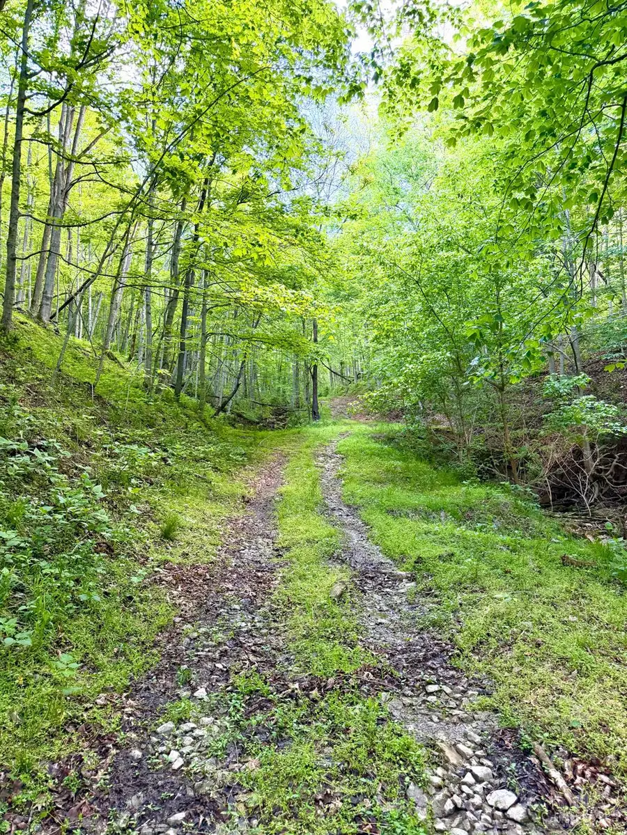 0 Maynard Road, Ripley, OH 45167 - #3