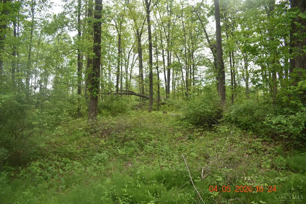 209 Schlitz #209, Fayetteville, OH 45118 - #1