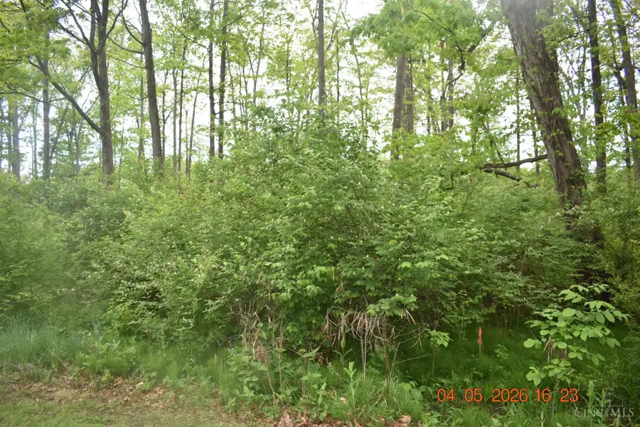 209 Schlitz #209, Fayetteville, OH 45118 - #2