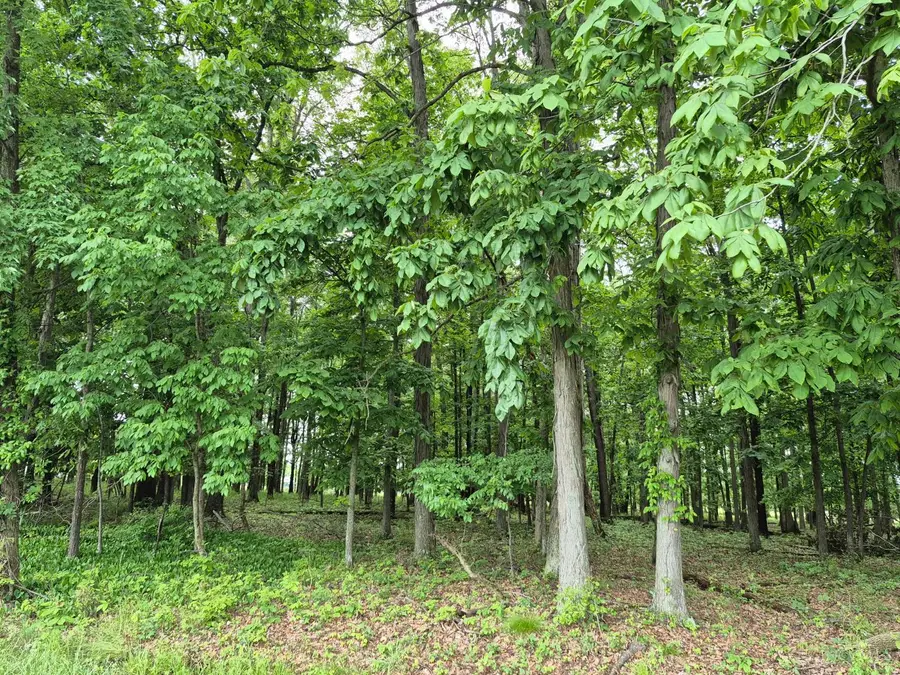 1393 Texas Drive, Lake Waynoka, OH 45171 - #2