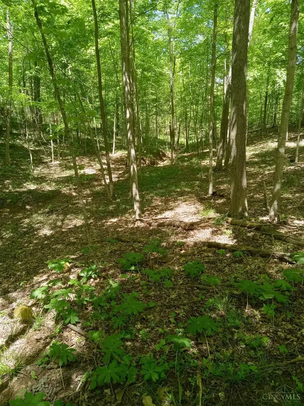 11583 Sinking Spring Road, Hillsboro, OH 45133