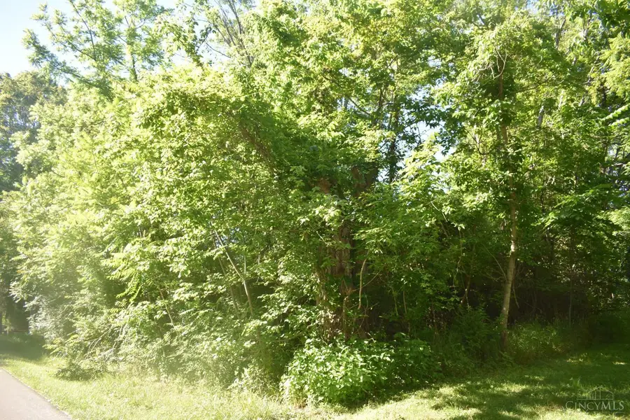 11871 Lakefront Drive, Paint, OH 45133 - #2