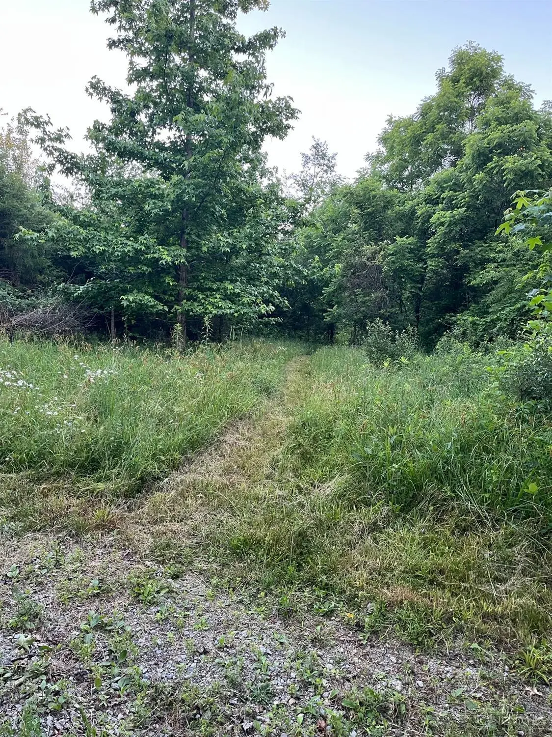 2450 Vance Road, Sardinia, OH 45171 - #1