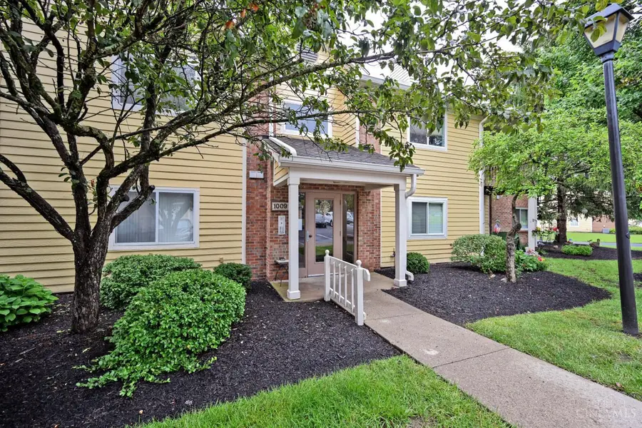 1009 Cedar Ridge Drive #4, Pierce, OH 45245 - #3