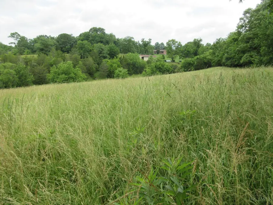 0 Dewitt Road, Moores Hill, IN 47032 - #3