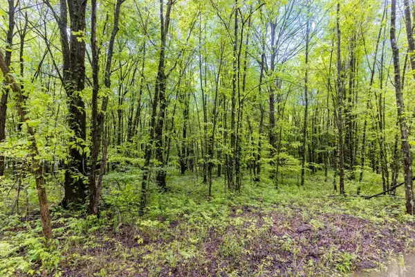 6149 Belfast Road, Stonelick Twp, OH 45122