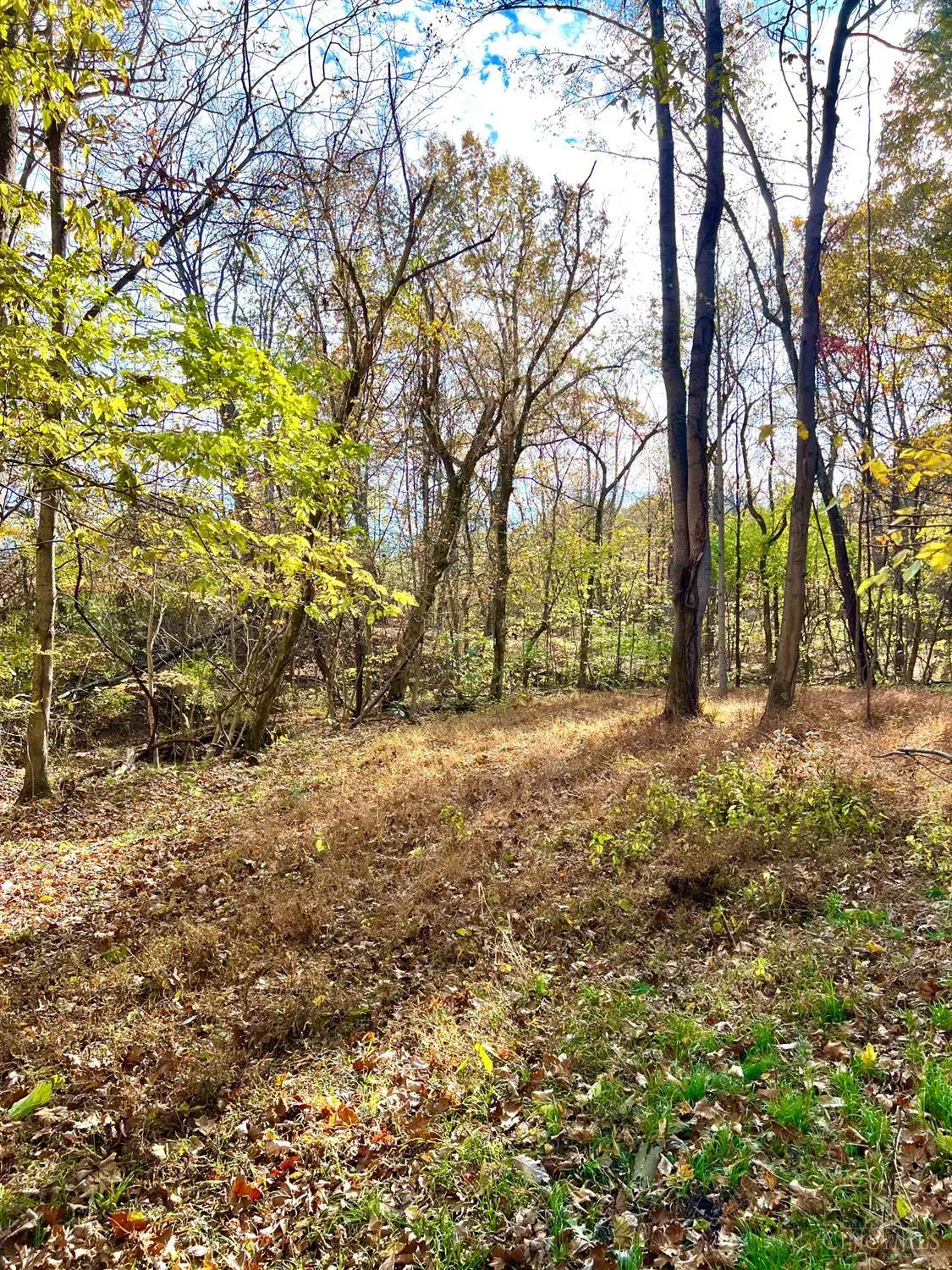 872 Mullen Road, Washington, OH 45153 - #1