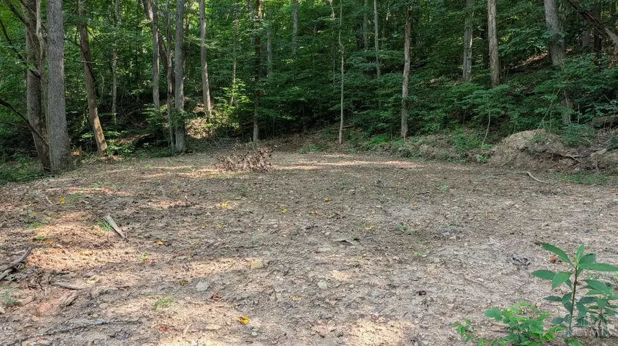 1492 Sulphur Creek Road, Stout, OH 45684 - #2