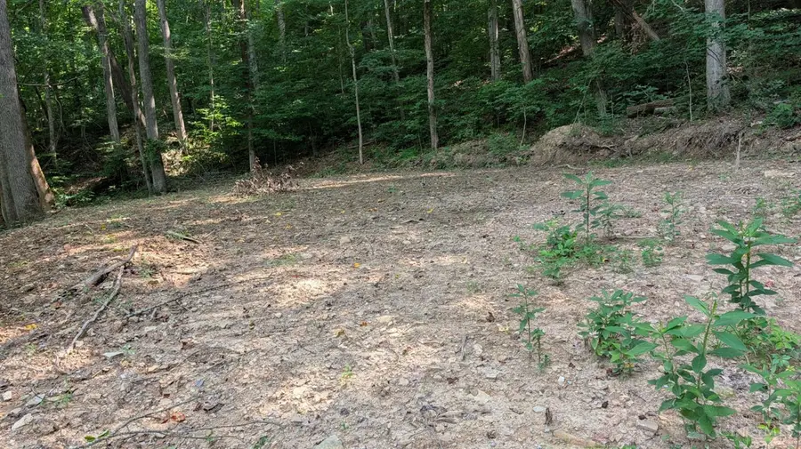 1492 Sulphur Creek Road, Stout, OH 45684 - #3
