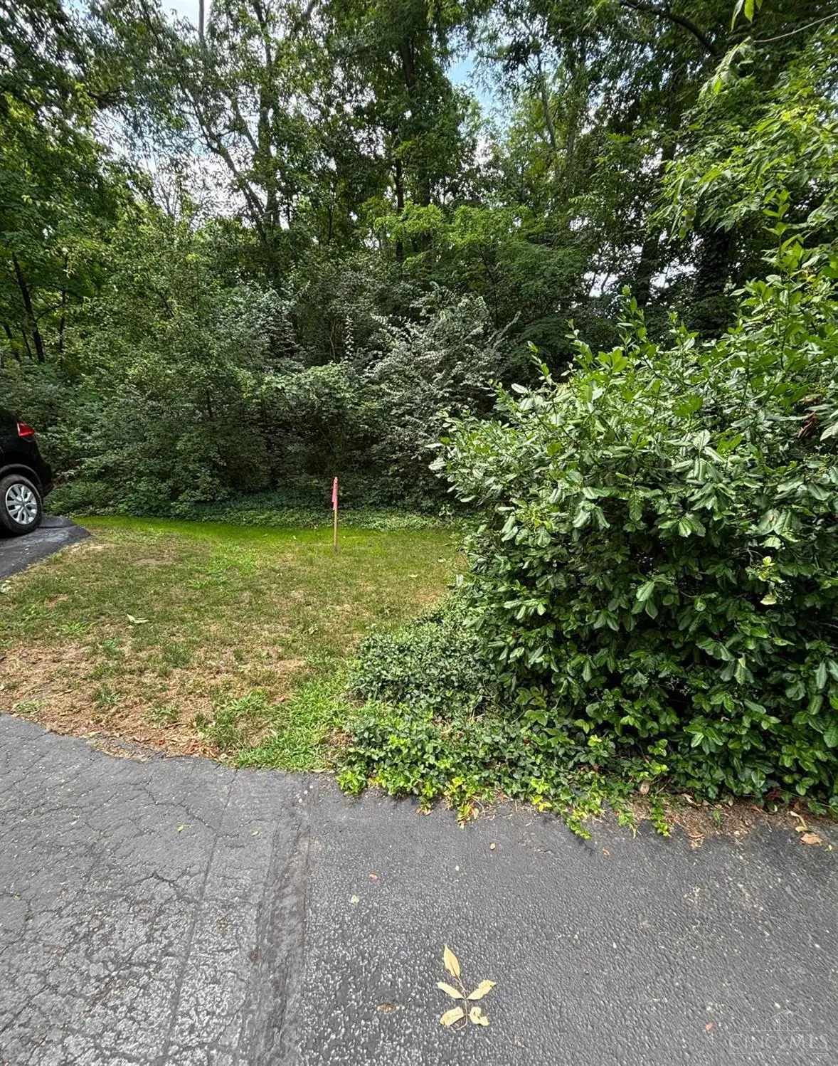 12102 Paulmeadows Drive, Symmes Township, OH 45249 - #1