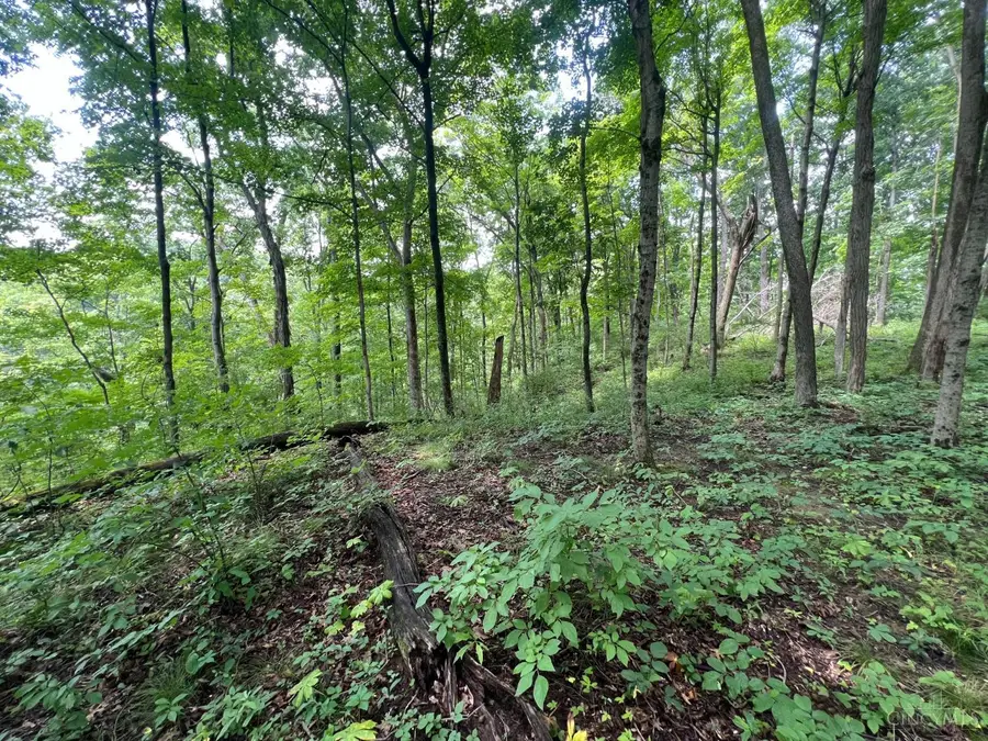 1900 Cruey Lane, Batavia, OH 45103 - #2
