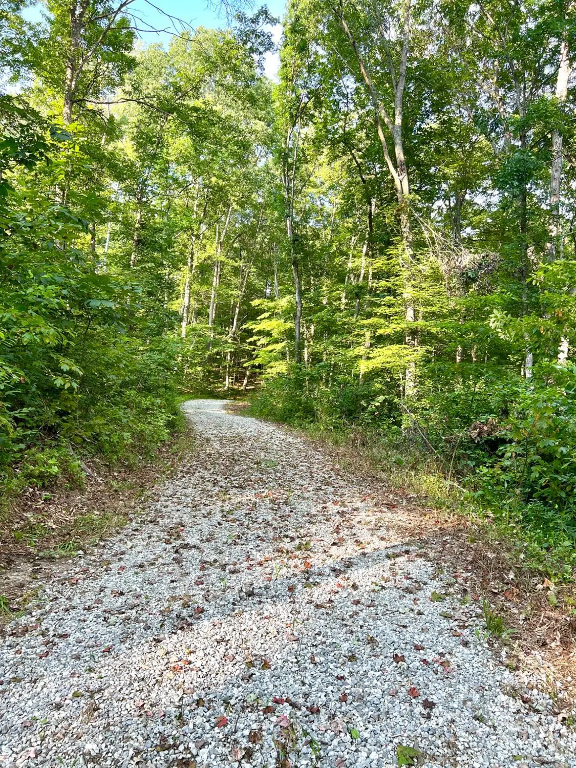 0 Tabernacle Road, Scioto, OH 45601 - #1