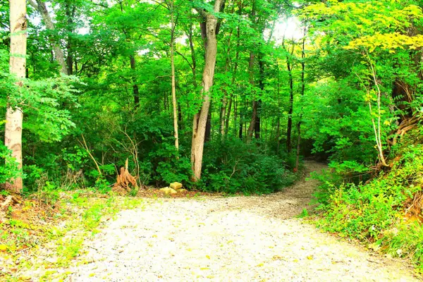 10415 E Miami River Road, Colerain Twp, OH 45252