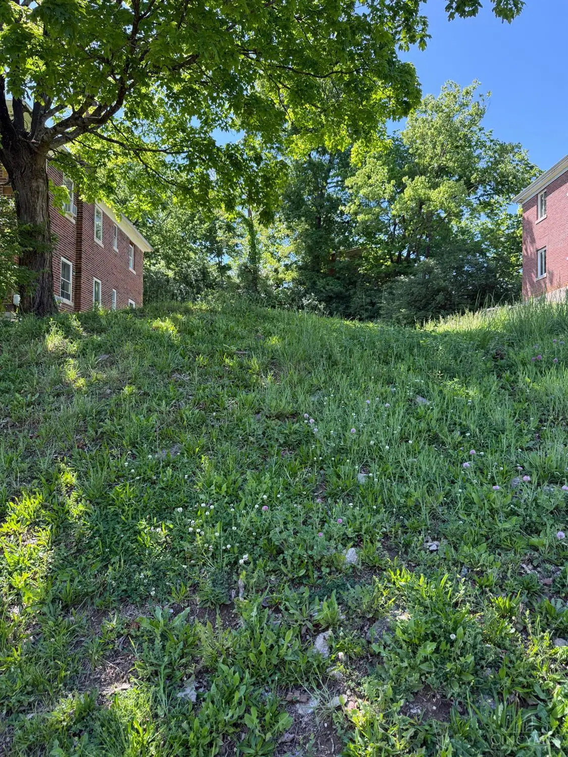 3127 Bracken Woods Lane, Cincinnati, OH 45211 - #1