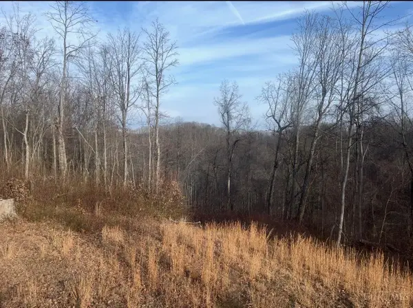 0 Upper Twin Creek Road, Nile Twp, OH 45616